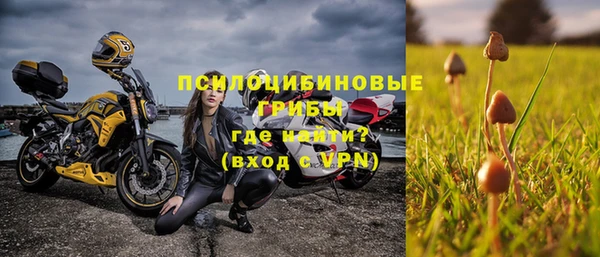 винт Козловка