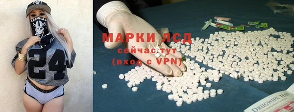 молекула духа Алзамай